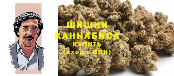 спиды Михайлов