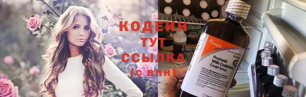 дурь Михайловск